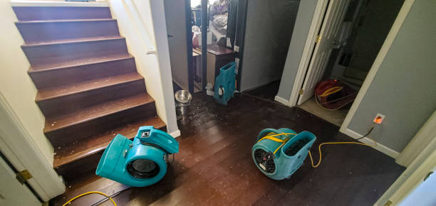 Best 24-hour water damage restoration  in Grantsville, UT