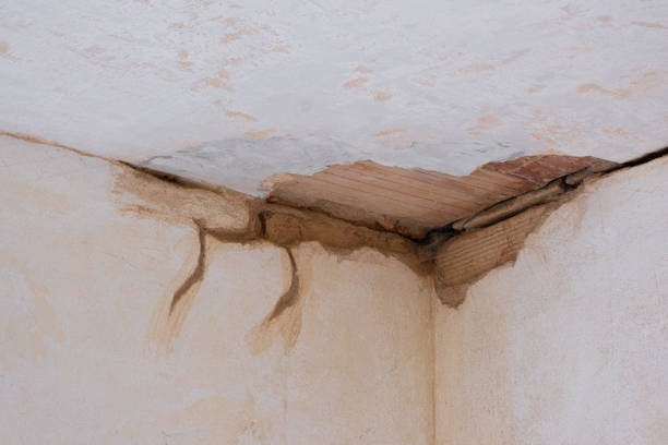 Best Flood damage cleanup  in Grantsville, UT