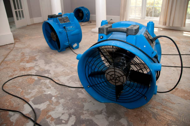 Best Basement water damage restoration  in Grantsville, UT